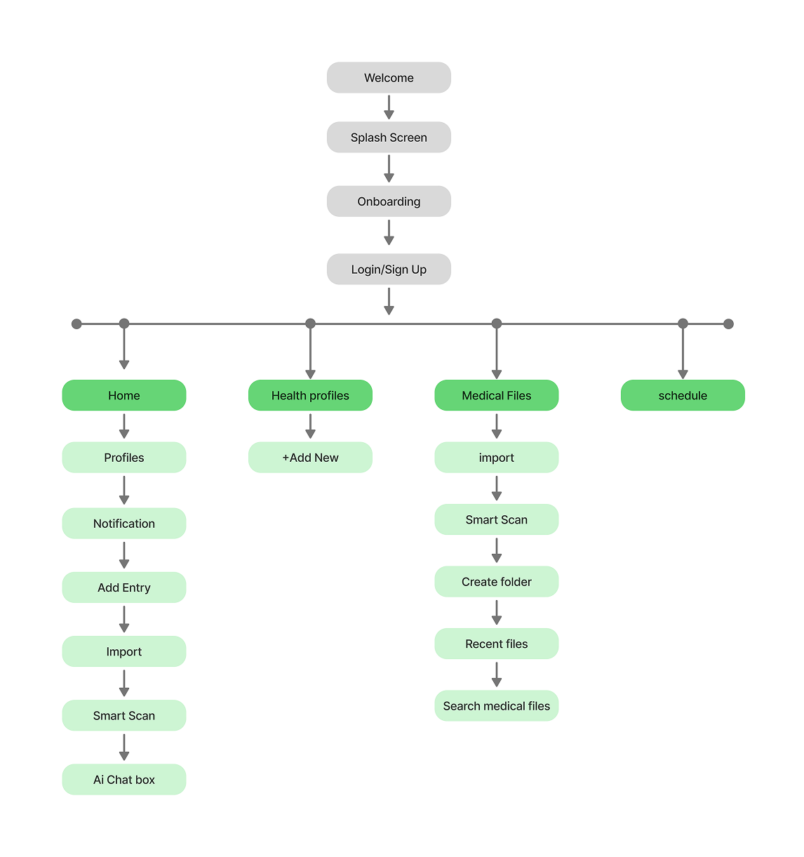 Information Architecture